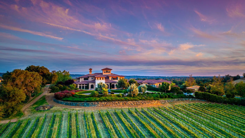 Wise Villa Winery